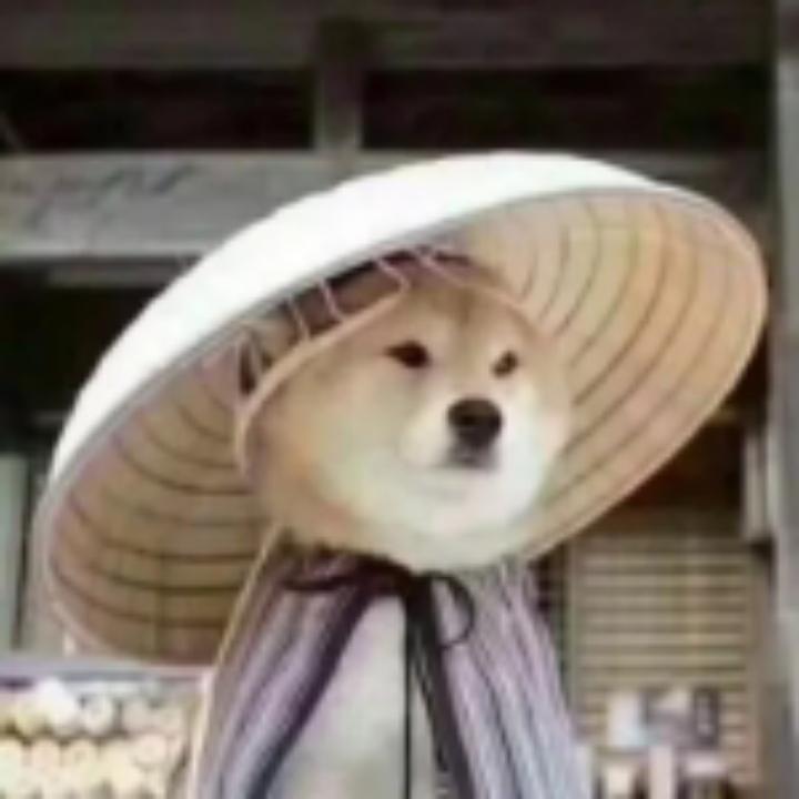 玉树临风健哥哥