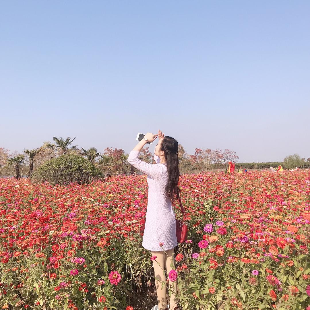 🌸艳子🌸
