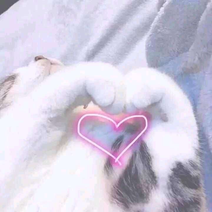 小心心送给你