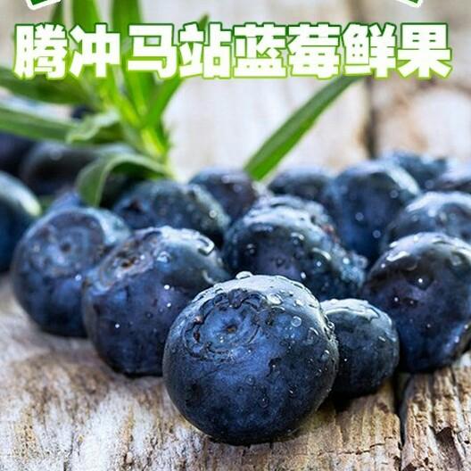 腾冲市蓝莓庄园