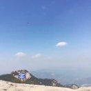 小辛