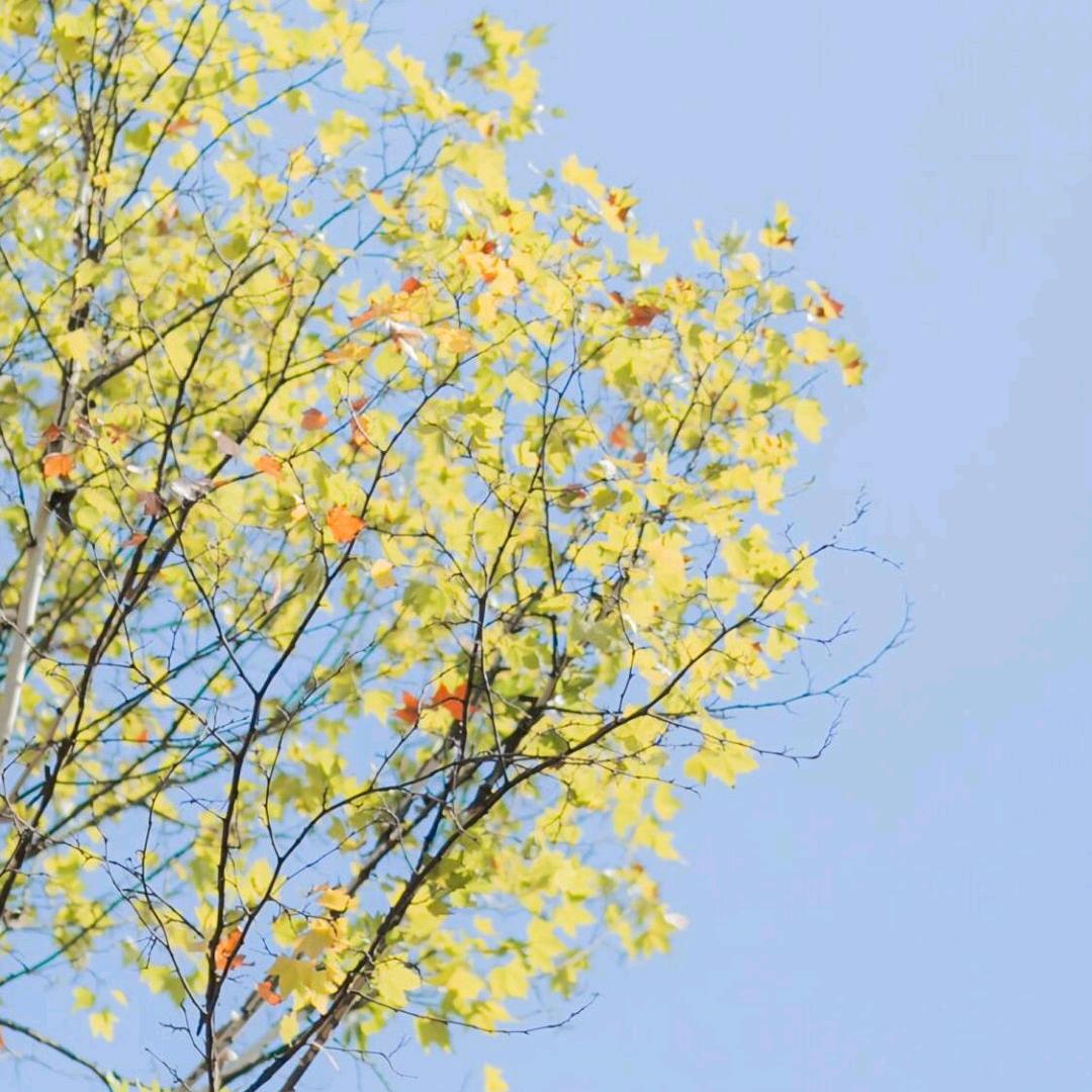 路过不要错过