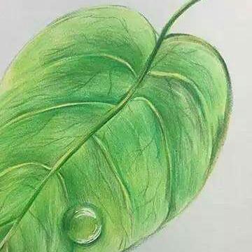 华