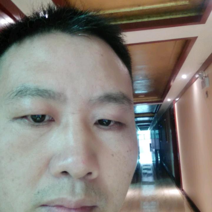 野狼B组