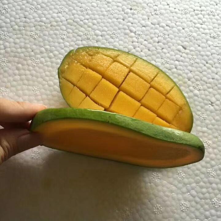 记录生活快乐