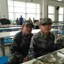 春满人间