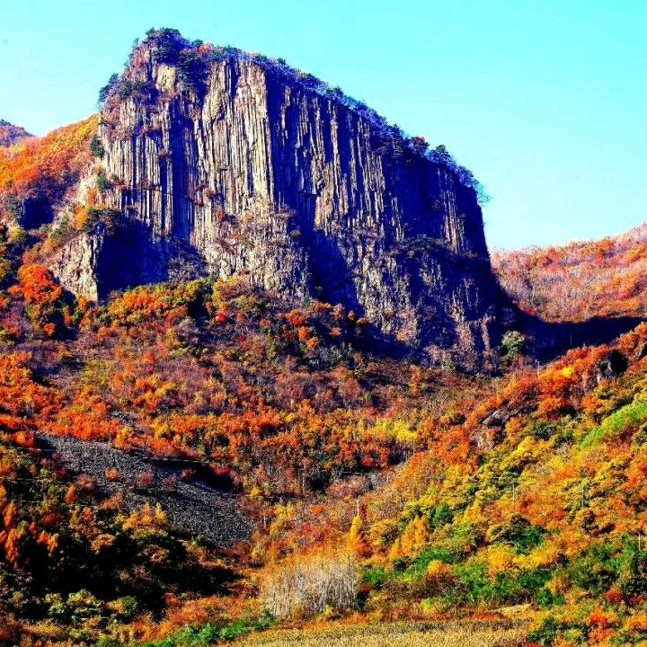 下套村成哥