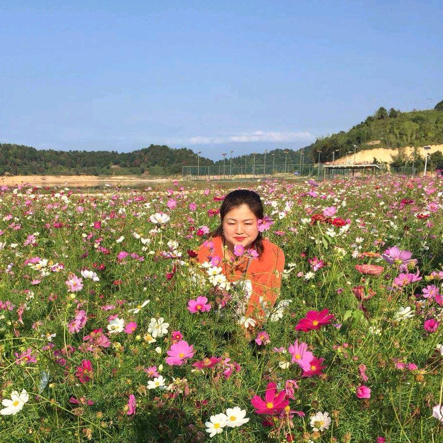 鑫鑫%好物分享%