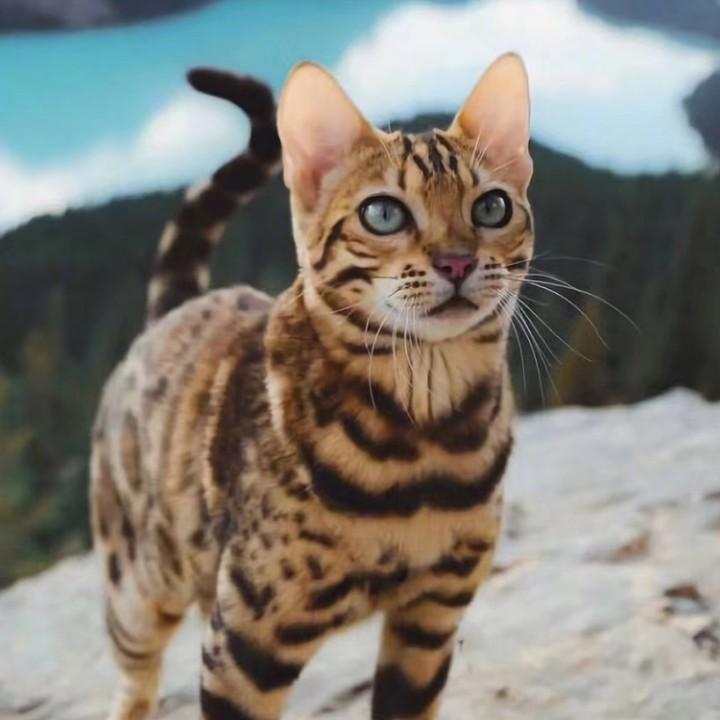 昀禹