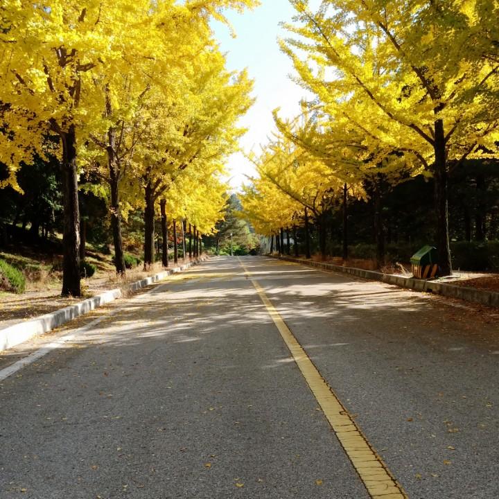 心境如水