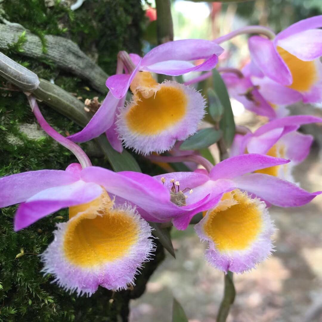 强哥的慢茶时光