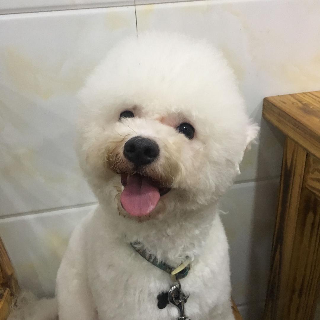 放电的皮卡丘