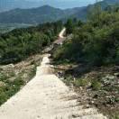 陌路繁华●；，凸丶j&iobzmnxnz