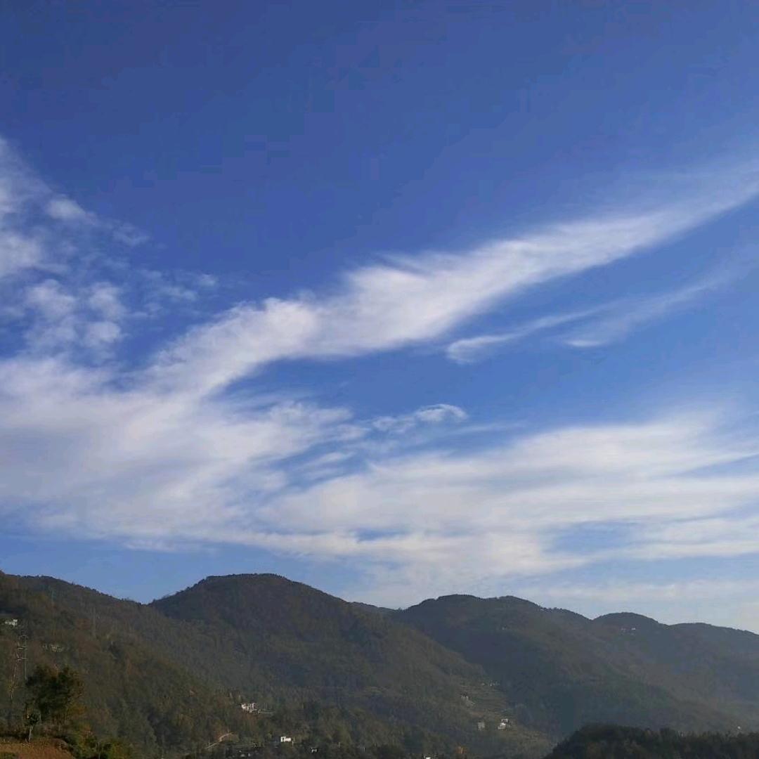 你的张先森
