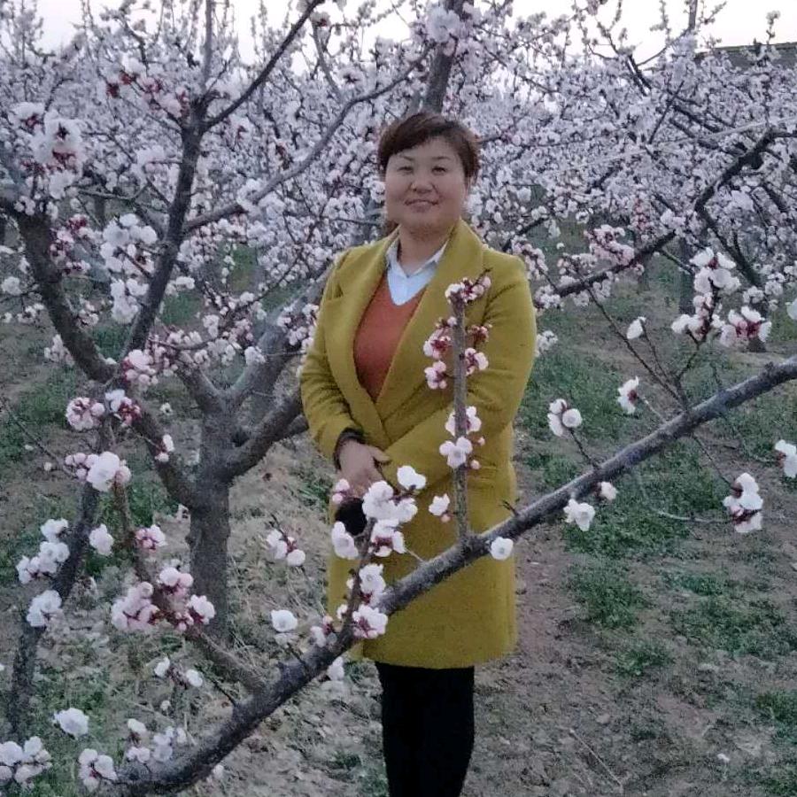 雪莲花