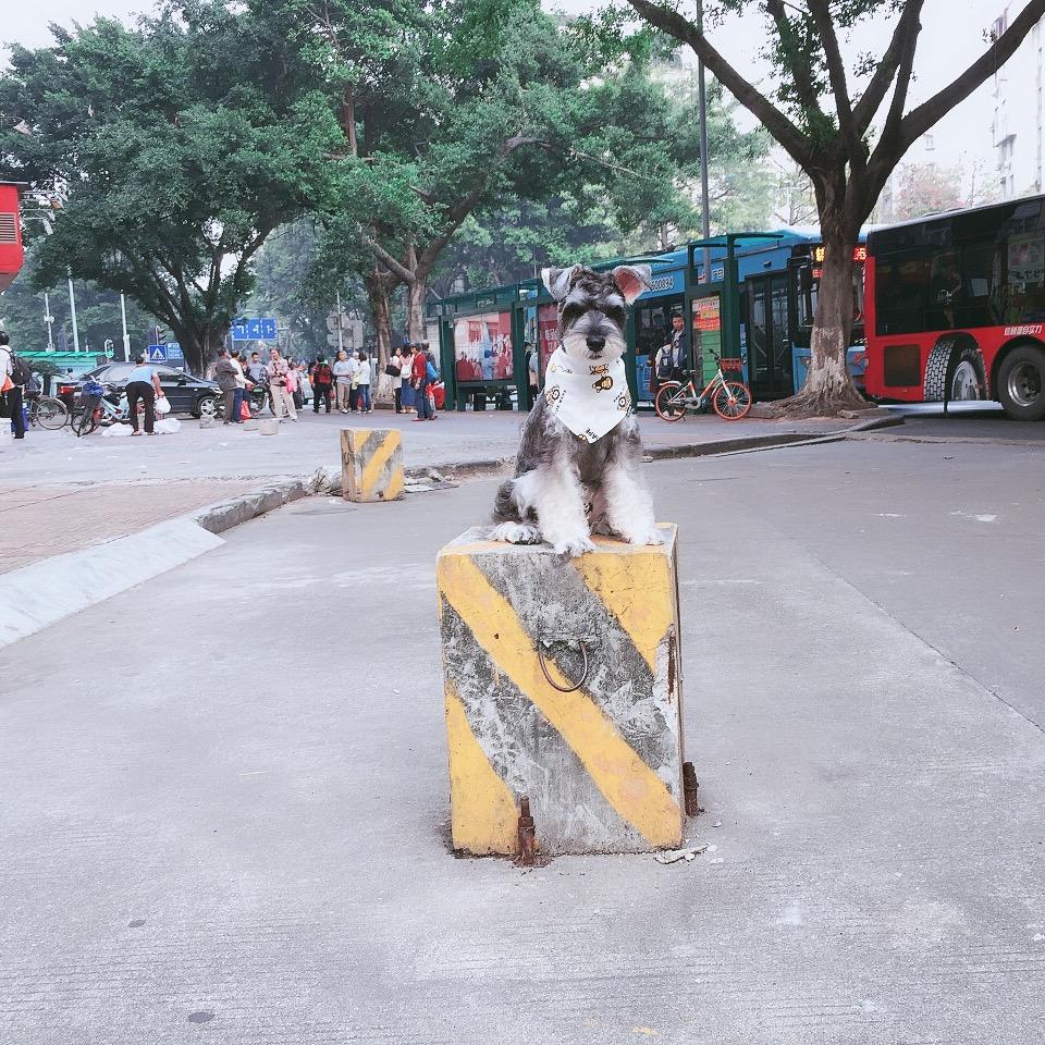 我家巨婴ShoHei  OnTaNi