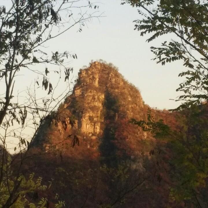 不倒翁