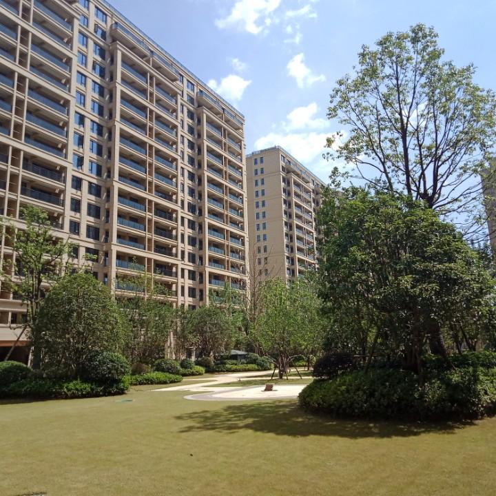 阿海