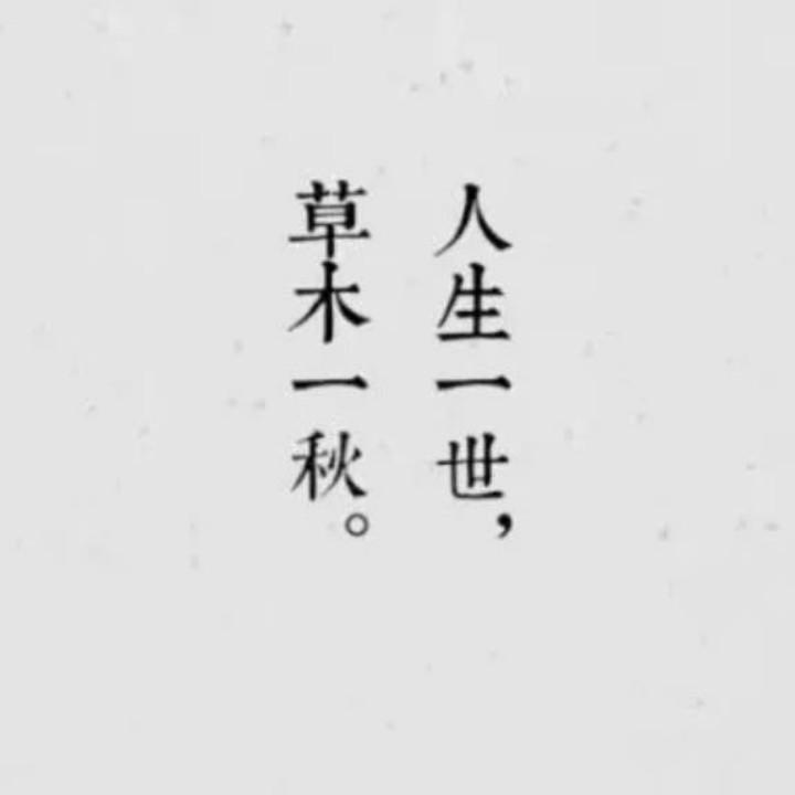 徐进