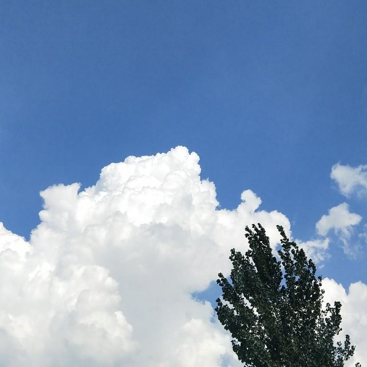 🔥梦里啥都有🔥