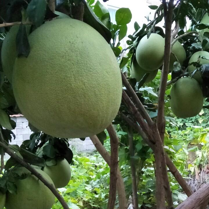 家和万事兴