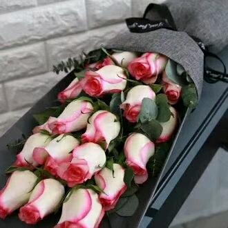 赵🌹🌹