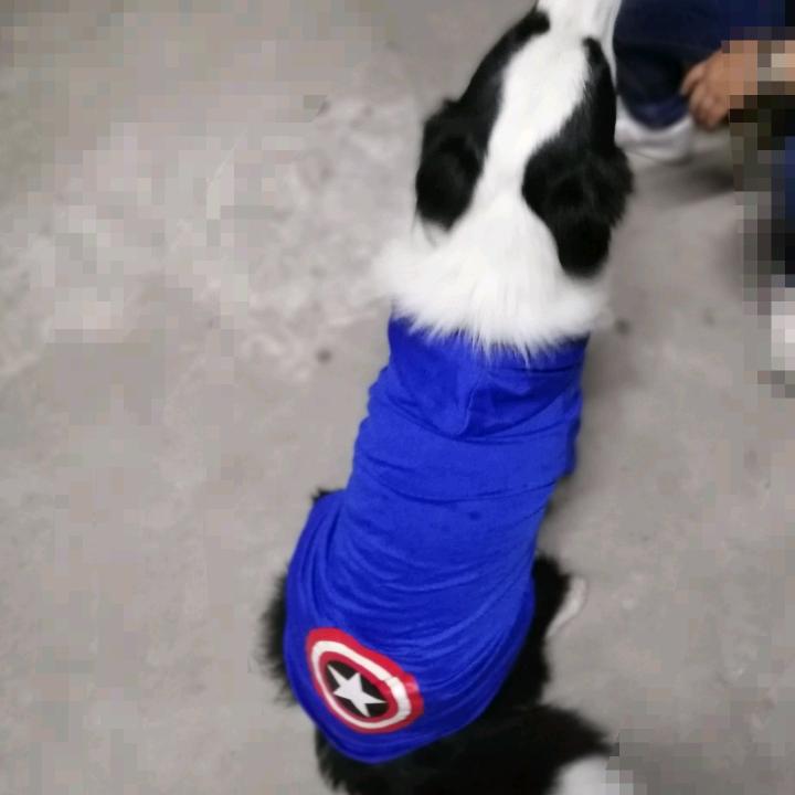 叶子