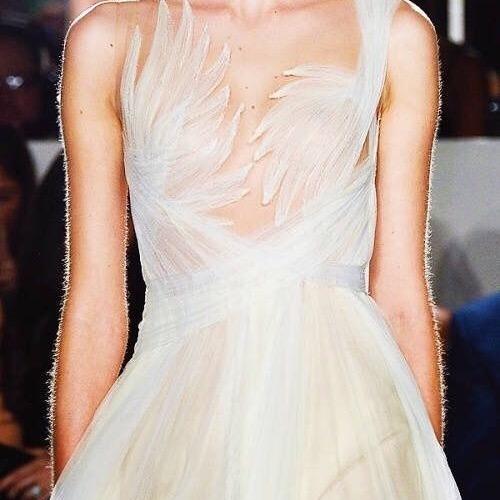 张家口婚庆蜂鸟