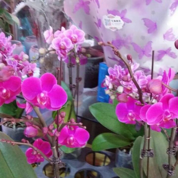 💖💖走好自己的路💝💖