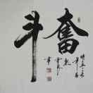 雨林