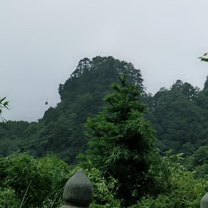 不知今夕是何夕