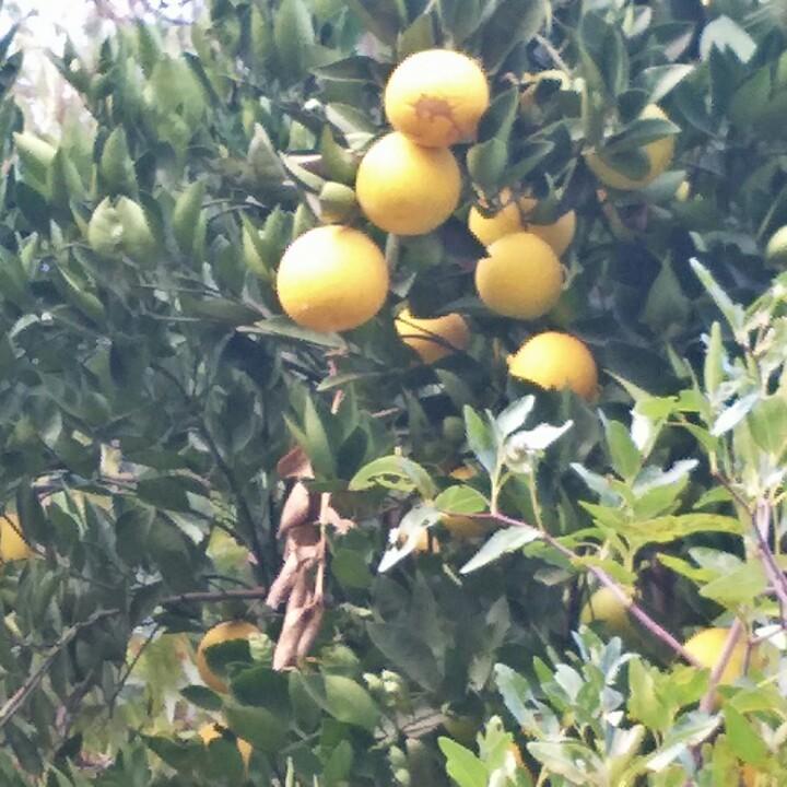 我有一个幸福的家