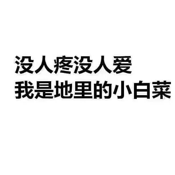 小海螺🐚