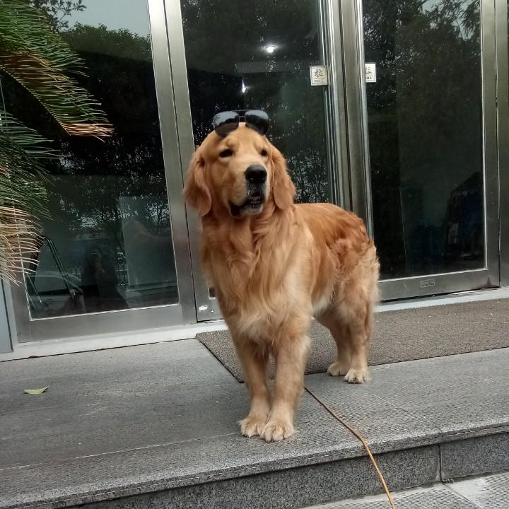 凯文