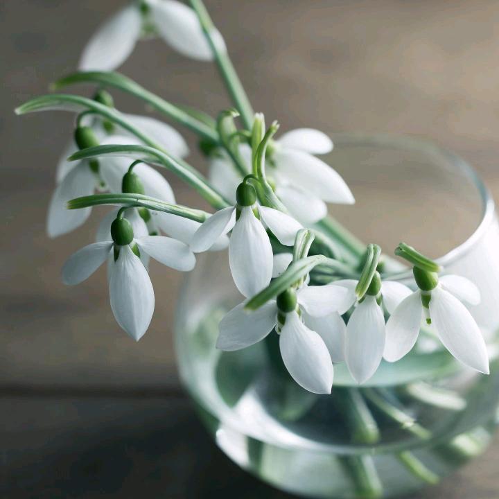 坐在桥头，看水流