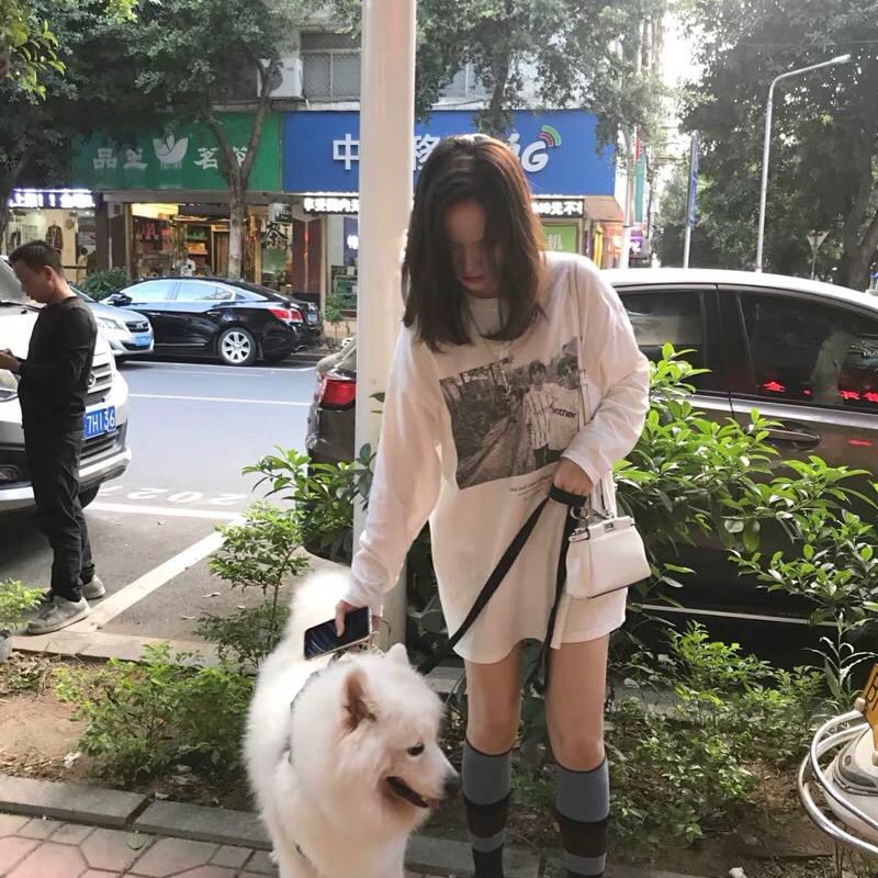 油条可可