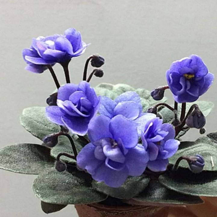 缘尽🌱曲终