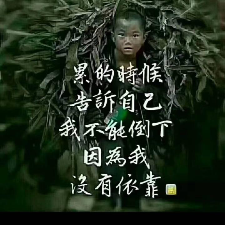 乘风破浪