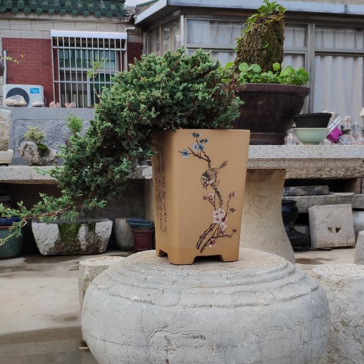 奇石古玩