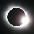 一笼莜面家常菜干锅