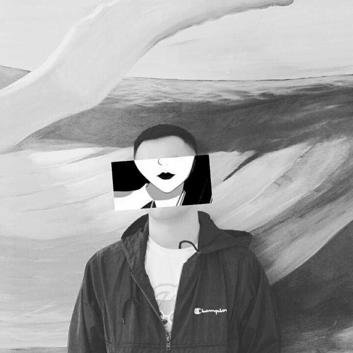 枫韬