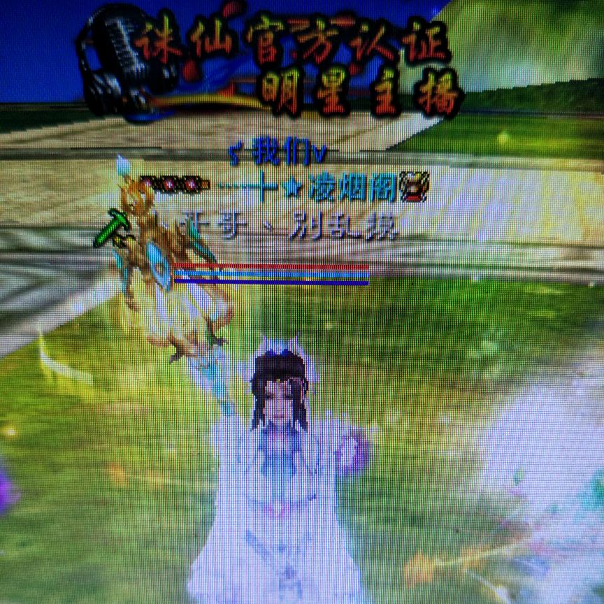 不爱吃萝卜的🐰