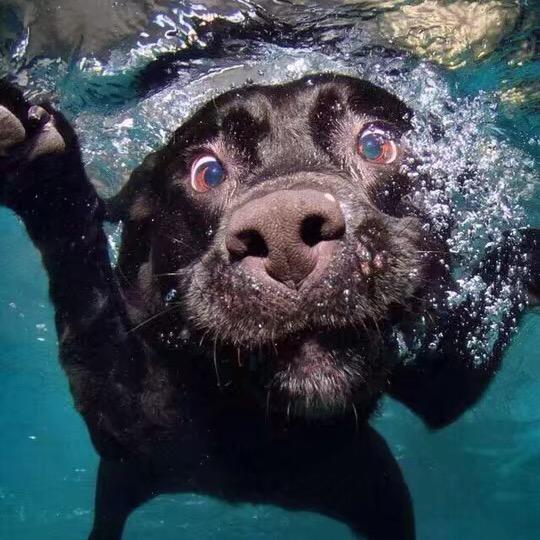 🌈🌈辉常了的