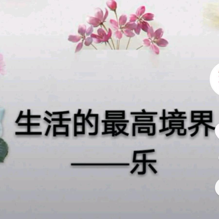 开心乐乐
