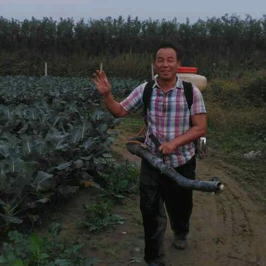 星光地璀璨