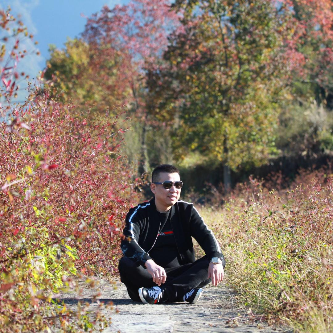伤2013