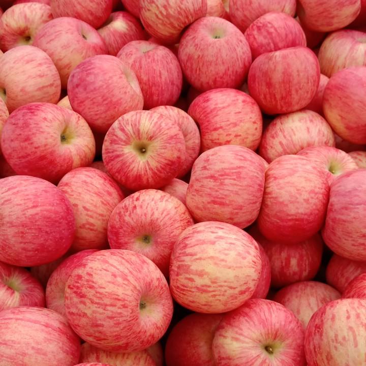 心想事成、栖霞苹果