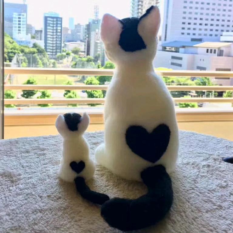 安静（代驾静丫头）