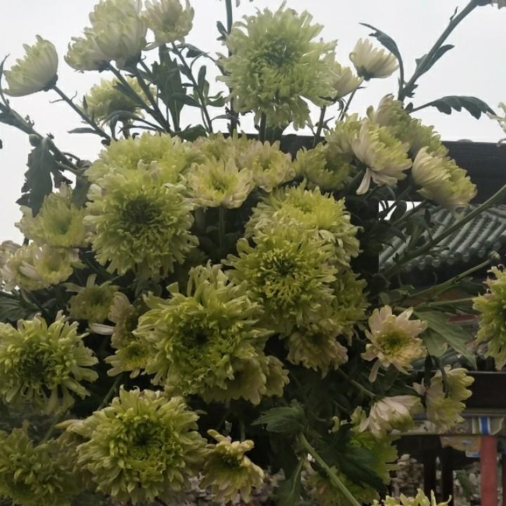小五同学，