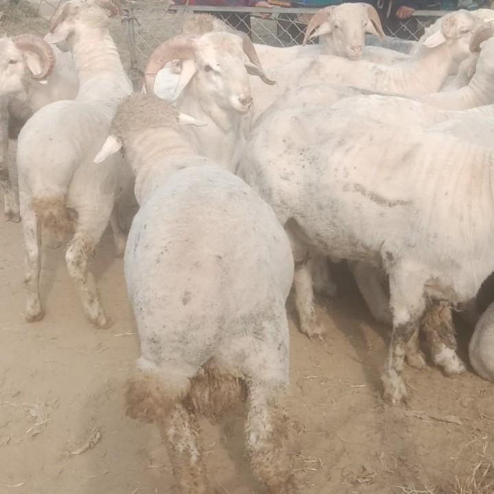 相知相守一辈子